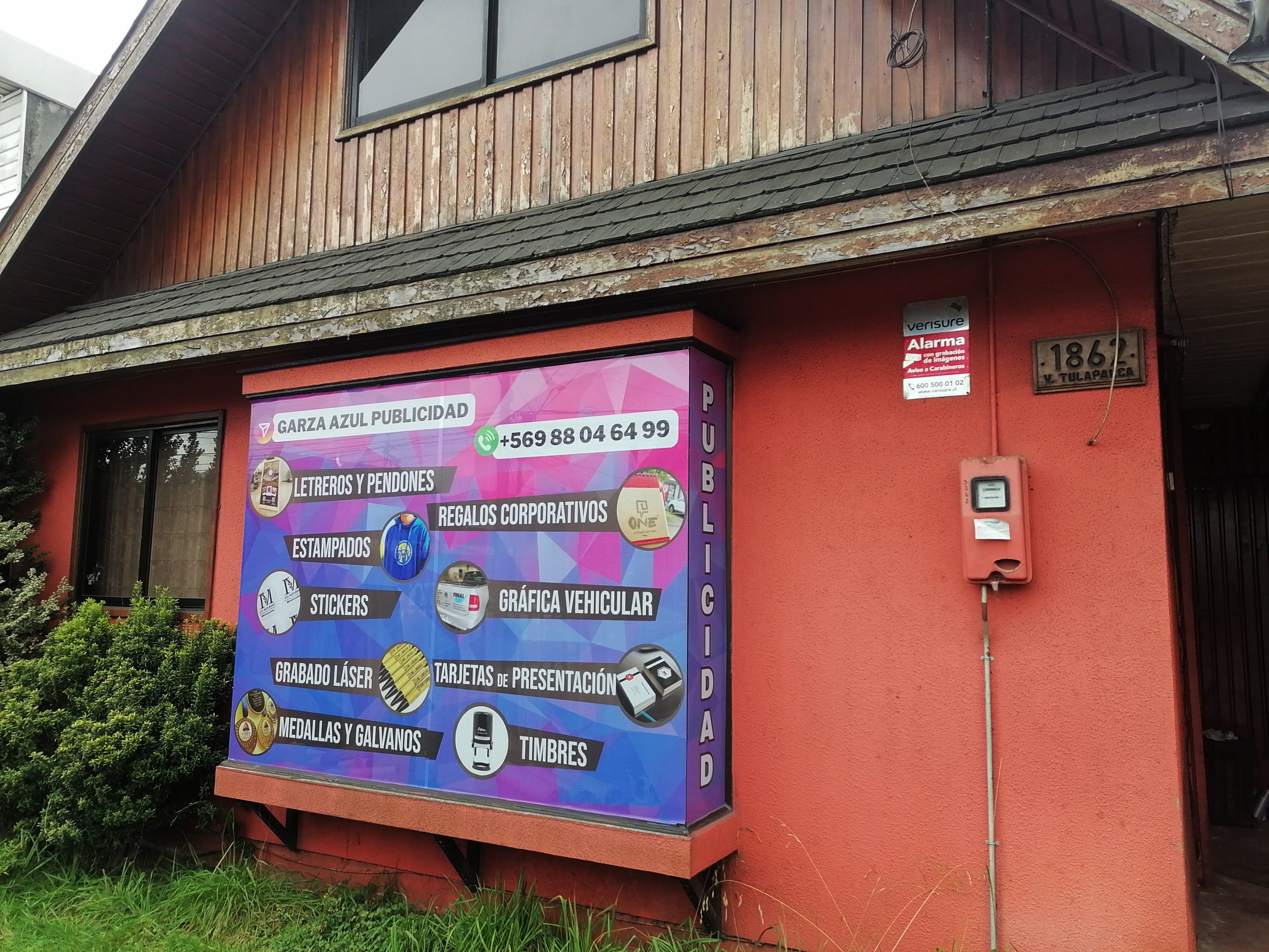 garza-azul-puerto-montt