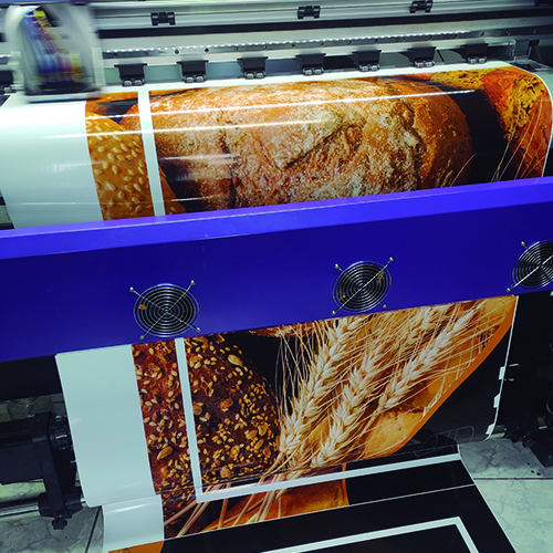 impresion-garza-azul